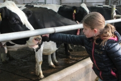 Boerderijbezoek-gr.-5-76